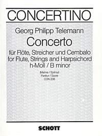 Concerto B minor