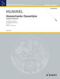 Concert Overture op. 13c