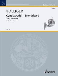 Holliger: Cynddaredd - Brenddwyd
