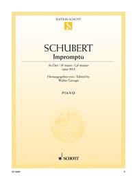 Franz Schubert:  Impromptu op. 90 D 899