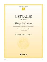 Strauss (Son): Die Fledermaus