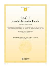 Bach: Jesu Bleibet Meine Freude (Klarinet, Piano)