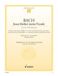 Bach: Jesu Bleibet Meine Freude (Trompet, Piano)