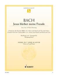 Bach: Jesu Bleibet Meine Freude (Hoorn, Piano)