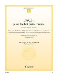 Bach: Jesus bleibet meine Freude