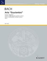 Esurientes Implevit Bonis BWV 243