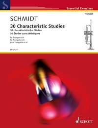Michael Schmidt: 30 Characteristic Studies