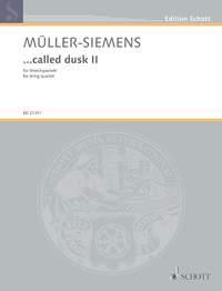 Detlev Mueller-Siemens: ...called dusk II