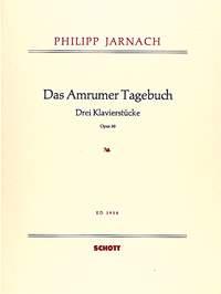 Das Amrumer Tagebuch op. 30