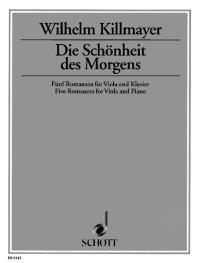 Die Schonheit des Morgens