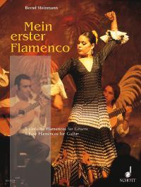 My First Flamenco