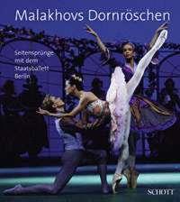 Malakhov's Sleeping Beauty