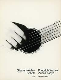 Friedich K. Wanek: 10 Essays