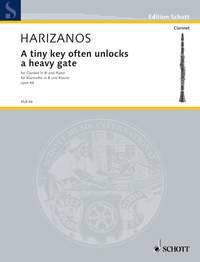 A tiny key often unlocks a heavy gate op. 64