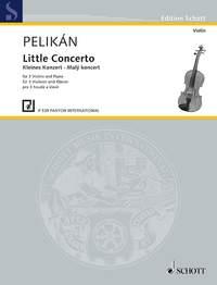 Concerto piccolo