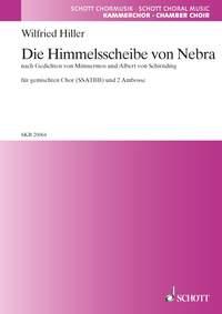 Wilfried Hiller: Die Himmelscheibe von Nebra