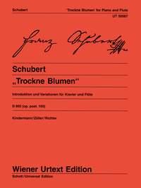 Franz Schubert: Trockne Blumen (Fluit, Piano)