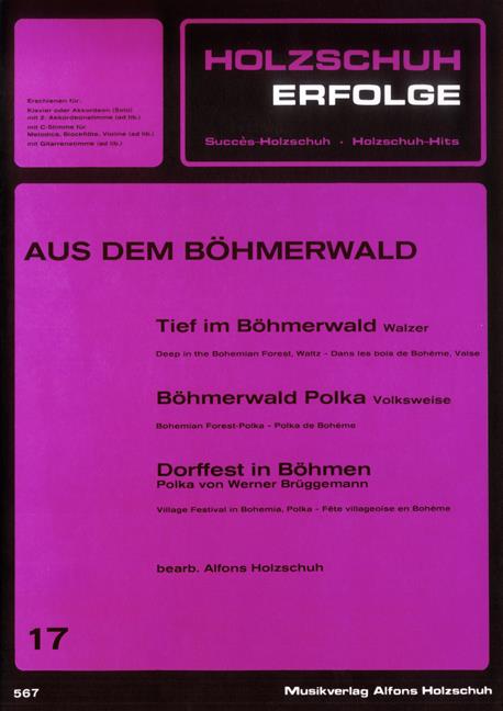 Holzschuh-Erfolge
