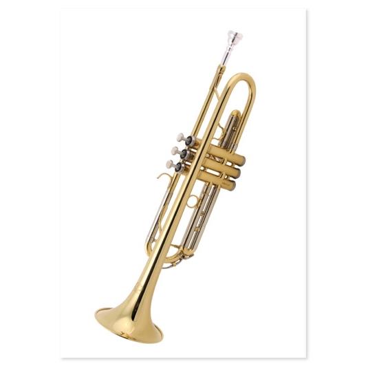 Ansichtkaart Trumpet (10 pcs)