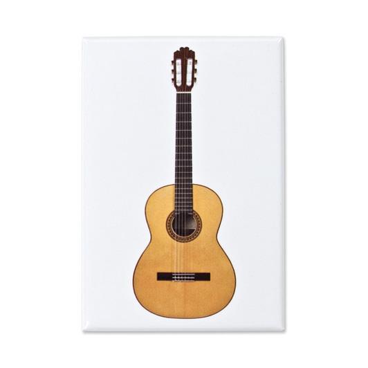 Magneet Gitaar