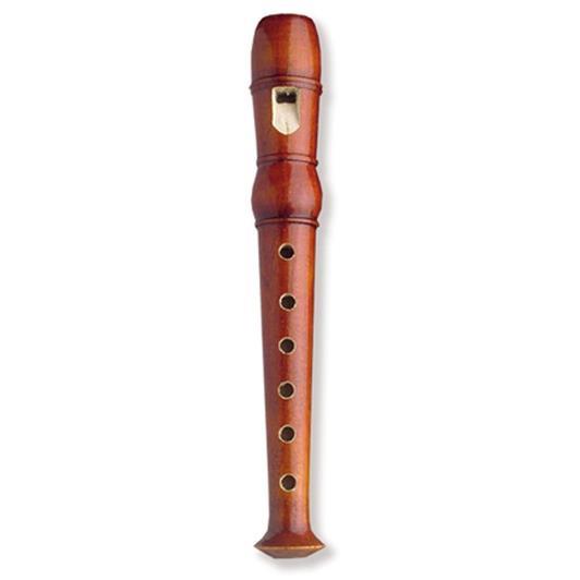 Recorder Magneet